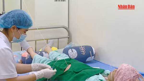 [Video] Bộ Y tế đề xuất BHYT chi trả khám sàng lọc 7 loại ung thư