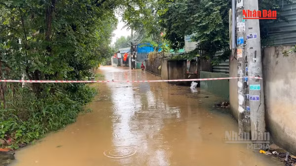 [Video] Xác định nguyên nhân khu dân cư cạnh cao tốc Biên Hòa - Vũng Tàu ngập sâu 