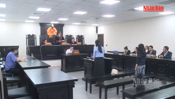 [Video] Hủy án sơ thẩm, điều tra bổ sung vụ cựu Hiệu trưởng THCS Ba Đình 