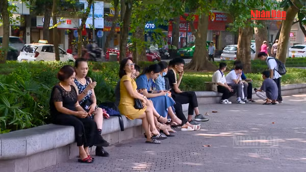 [Video] Tắt hoàn toàn sóng 2G từ 15/9, người dùng cần làm gì? 