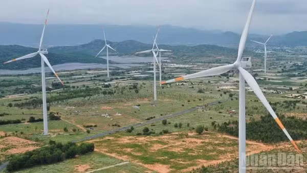 (Ảnh minh họa: nhandan.vn)
