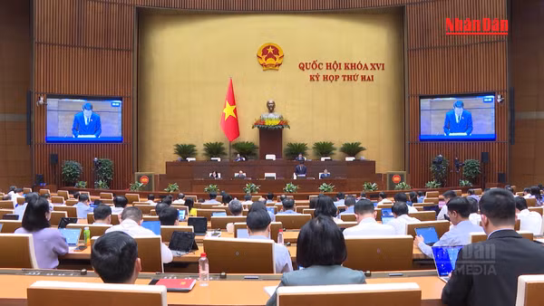 [Video] Quốc hội thảo luận về dự thảo Bộ luật Tố tụng hình sự (sửa đổi)