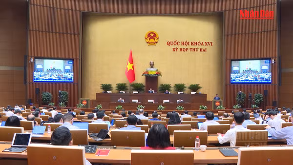 [Video] Đề xuất quy định ngay trong Luật Đất đai các giao dịch phải công chứng, chứng thực