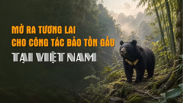 [Video] Mở ra tương lai cho công tác bảo tồn gấu tại Việt Nam 
