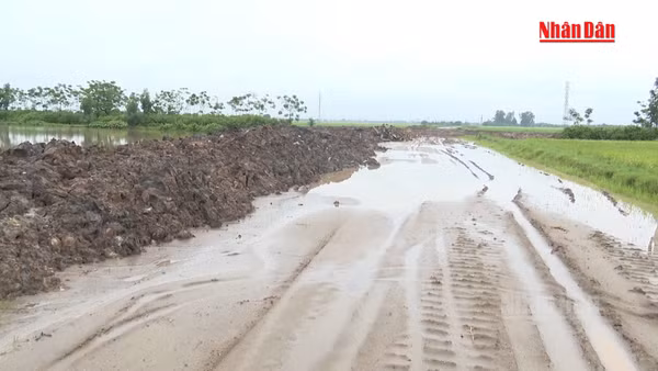 [Video] Mưa lớn gây gián đoạn thi công một số công trình trọng điểm tại Hưng Yên