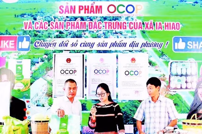 Lãnh đạo xã Ia Hiao, tỉnh Gia Lai phát trực tiếp bán nông sản gây quỹ khuyến học.