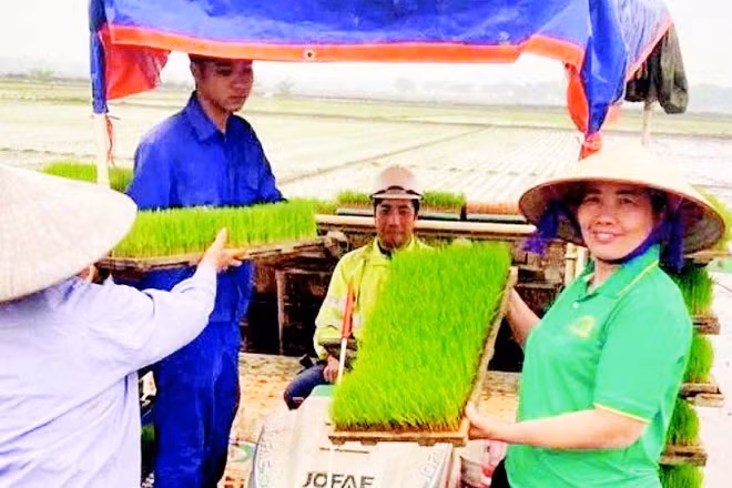 Gieo trồng lúa xuân bằng máy tại xã Phú Xuyên.
