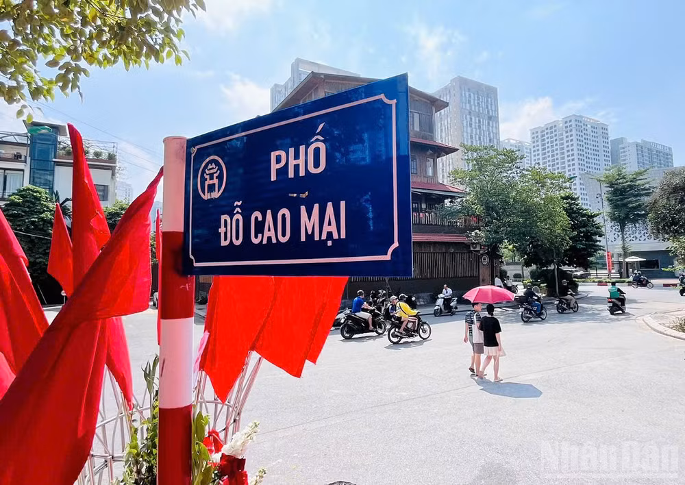 ndo_br_caomai2.jpg
