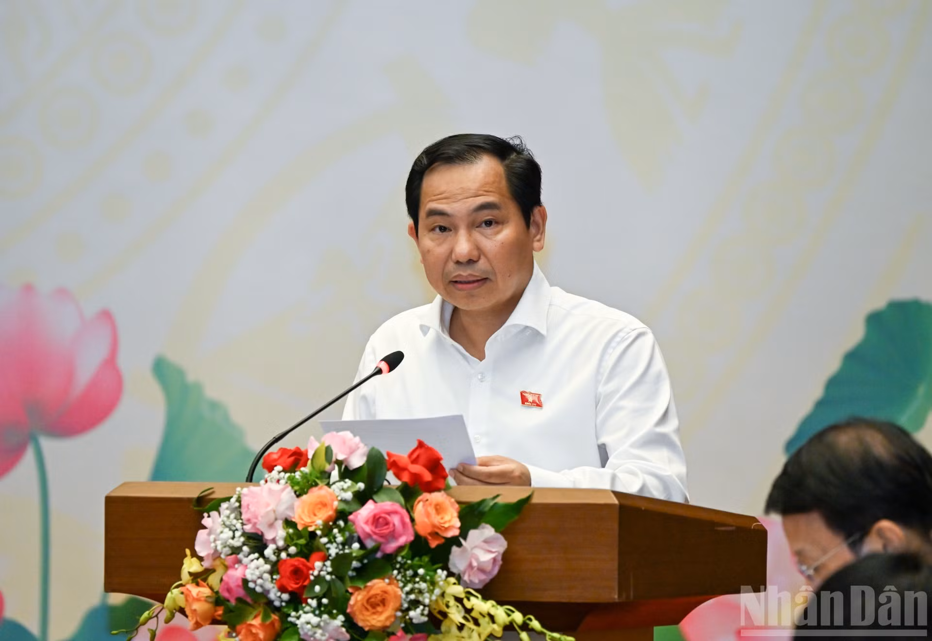 ndo_br_bnd-9339.jpg