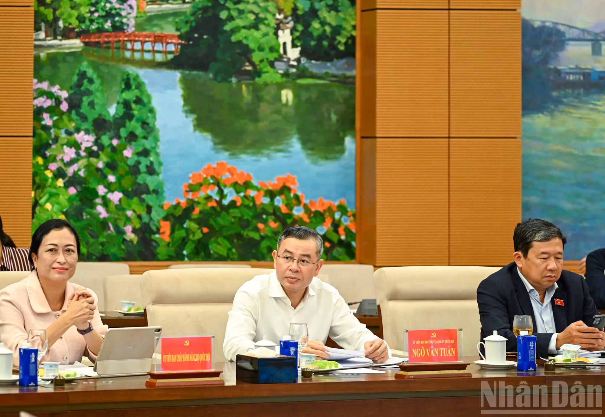 ndo_br_bnd-0493.jpg