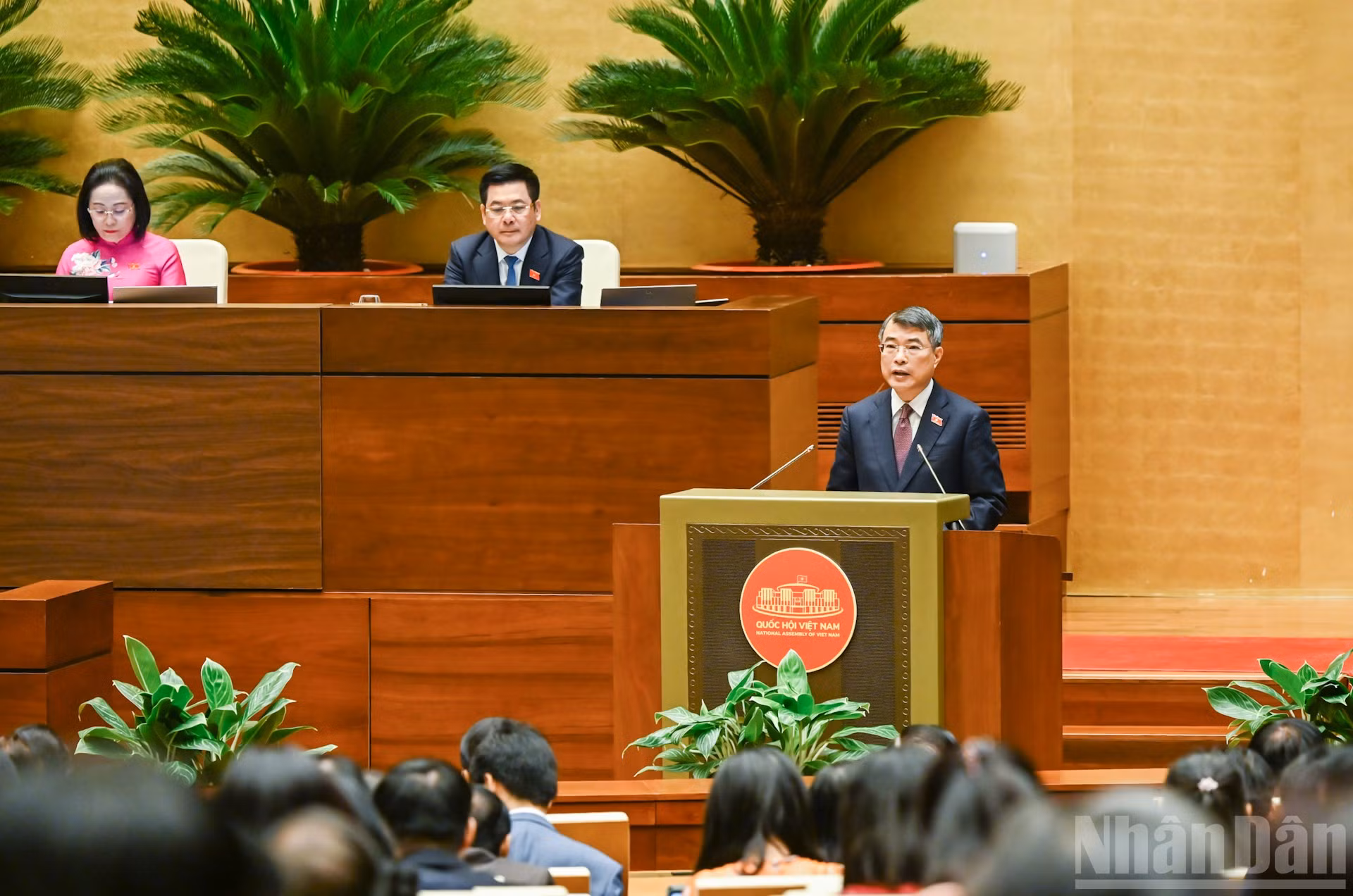ndo_br_bnd-4047.jpg