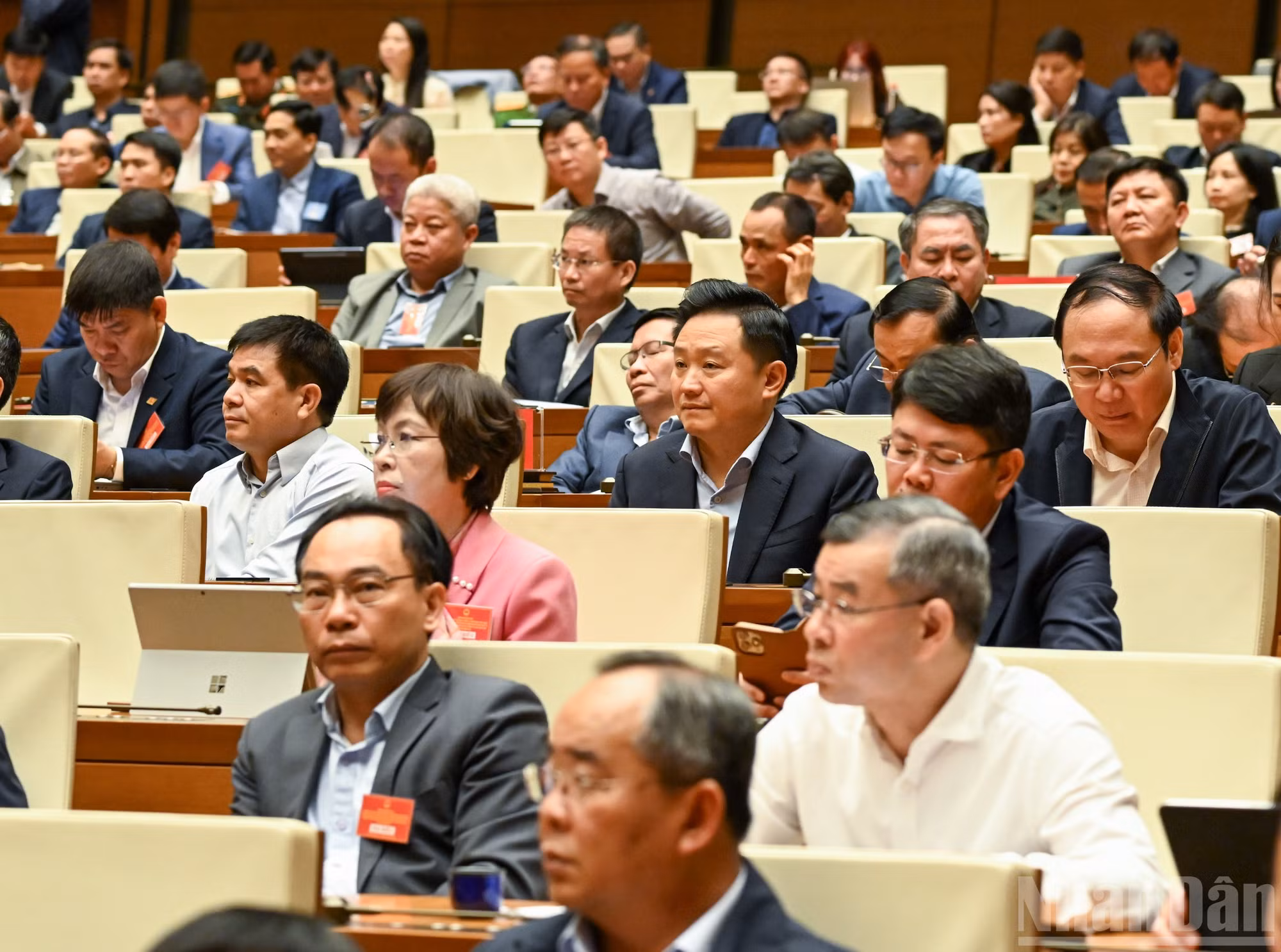 ndo_br_bnd-7729.jpg