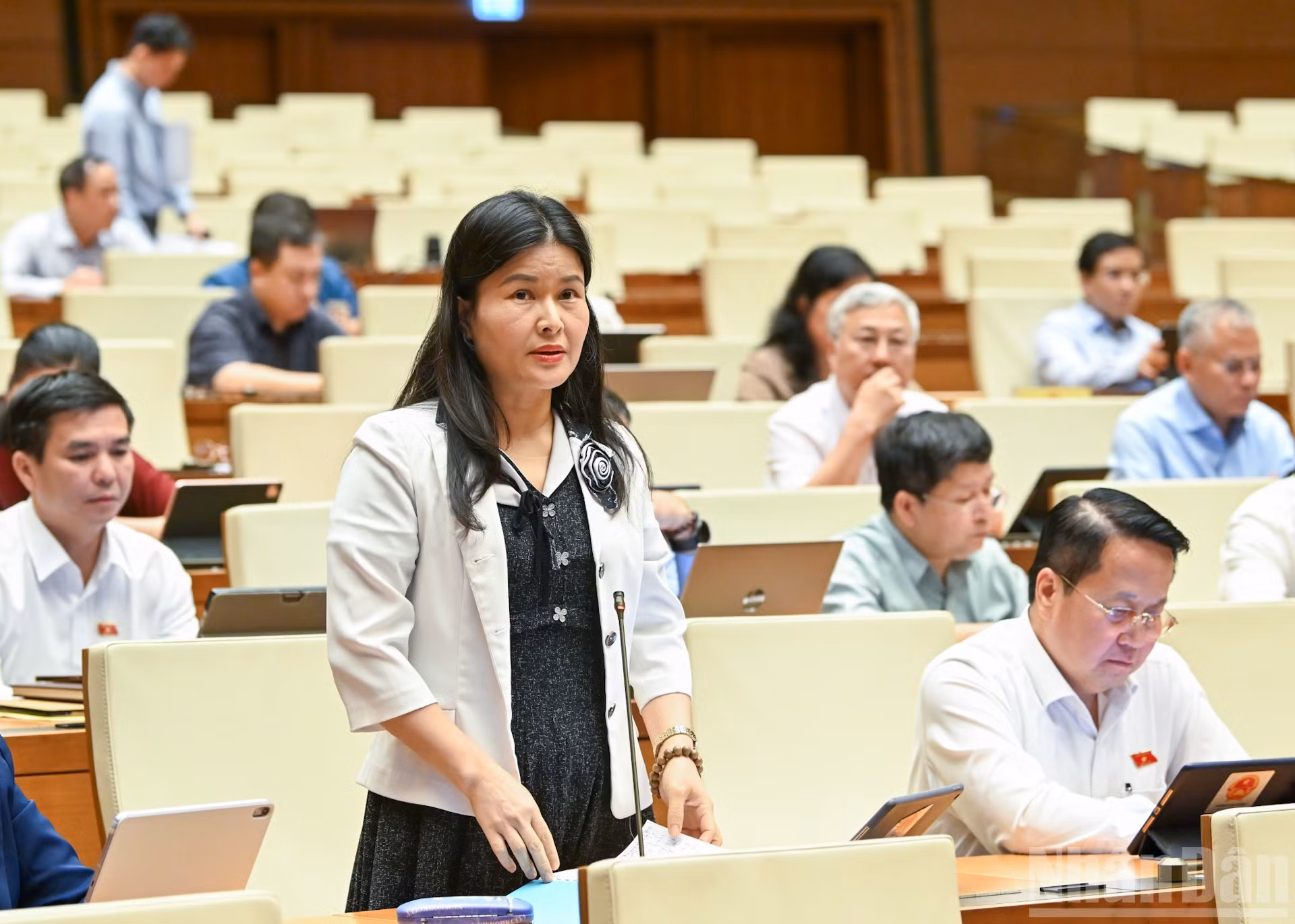 ndo_br_bui-thi-quynh-tho-ha-tinh.jpg