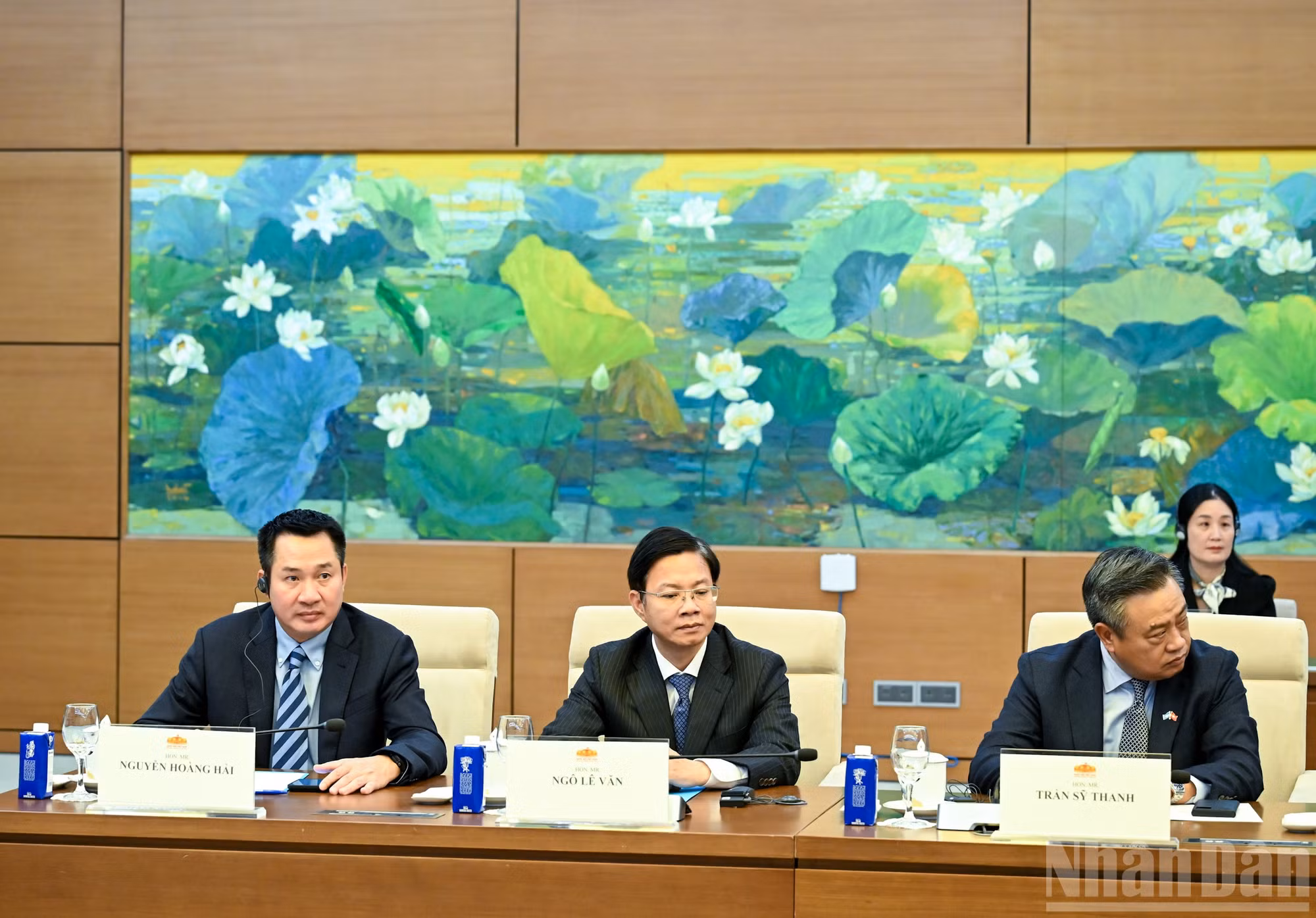 ndo_br_bnd-2436.jpg