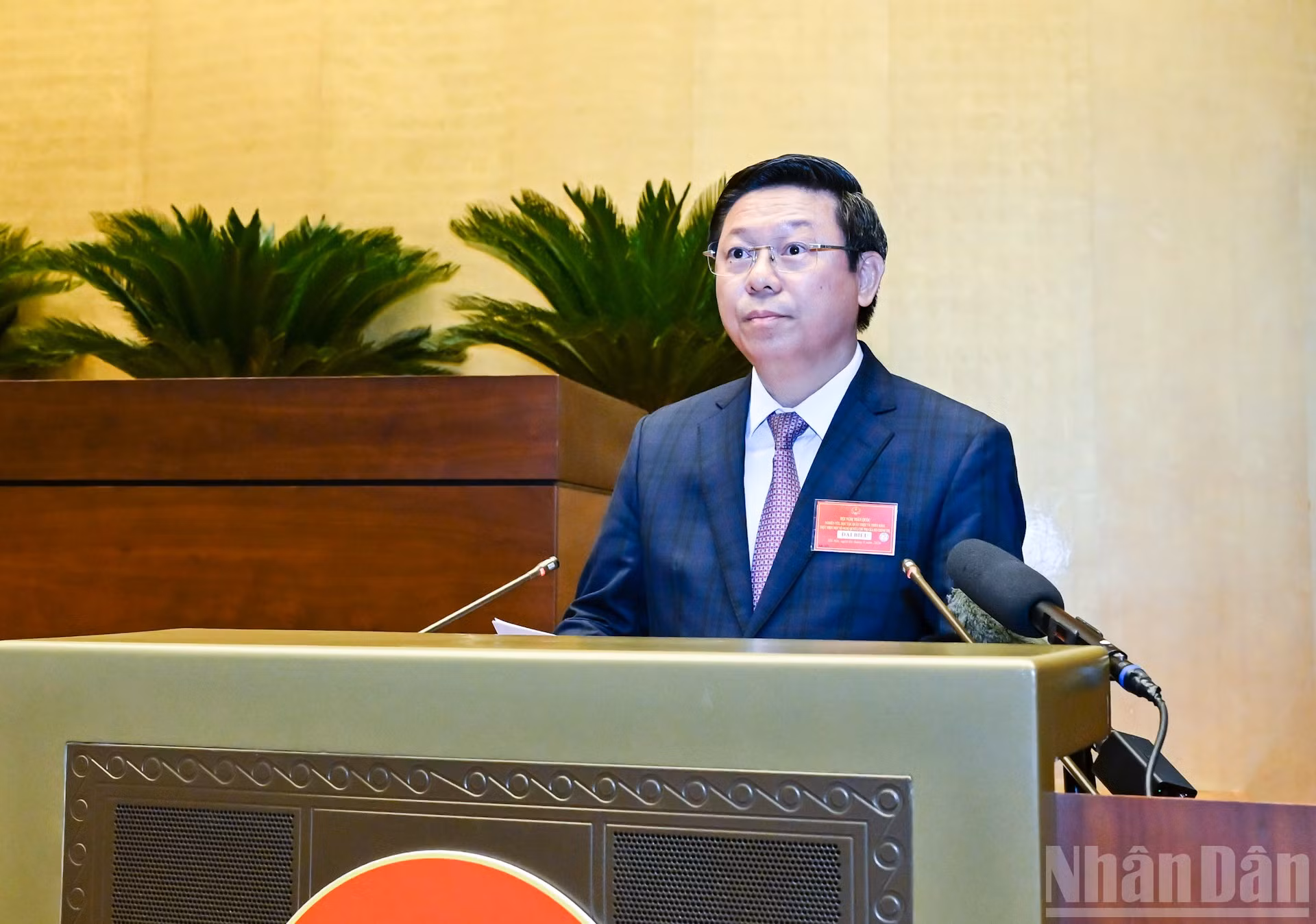 ndo_br_bnd-8007.jpg