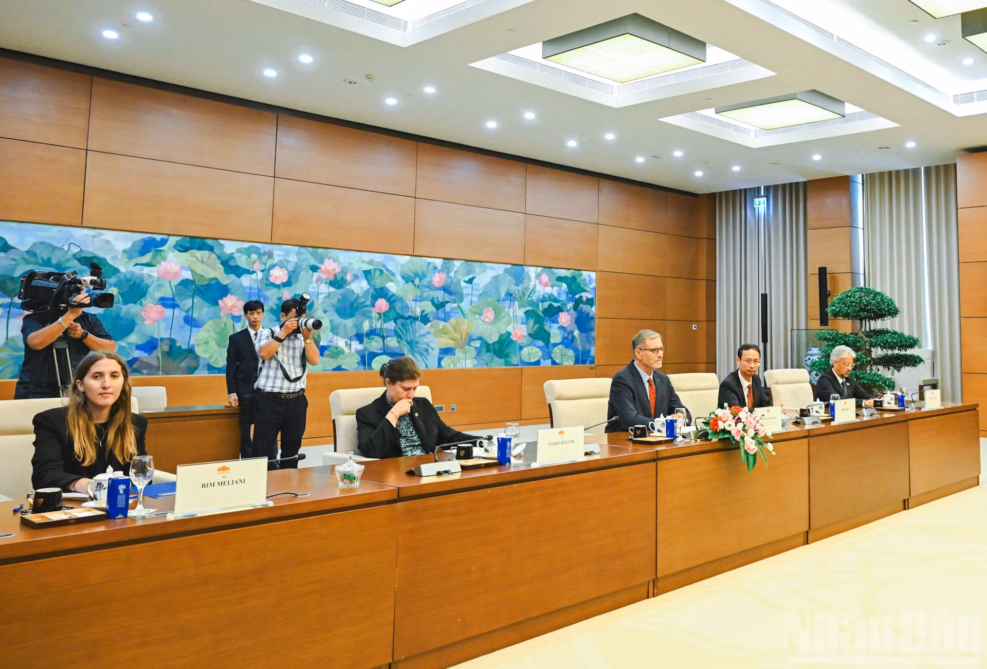 ndo_br_bnd-8276.jpg