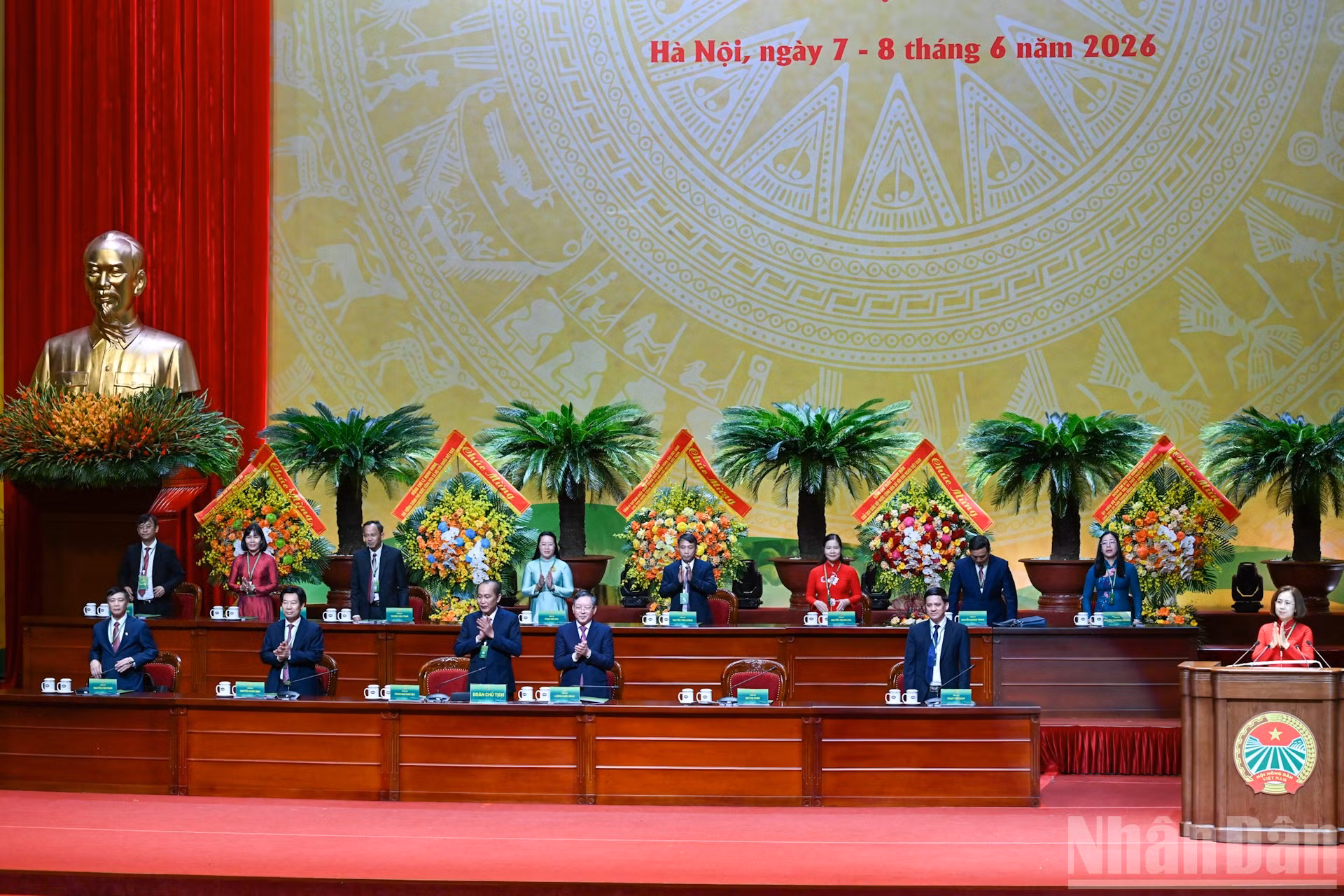ndo_br_bnd-3360.jpg