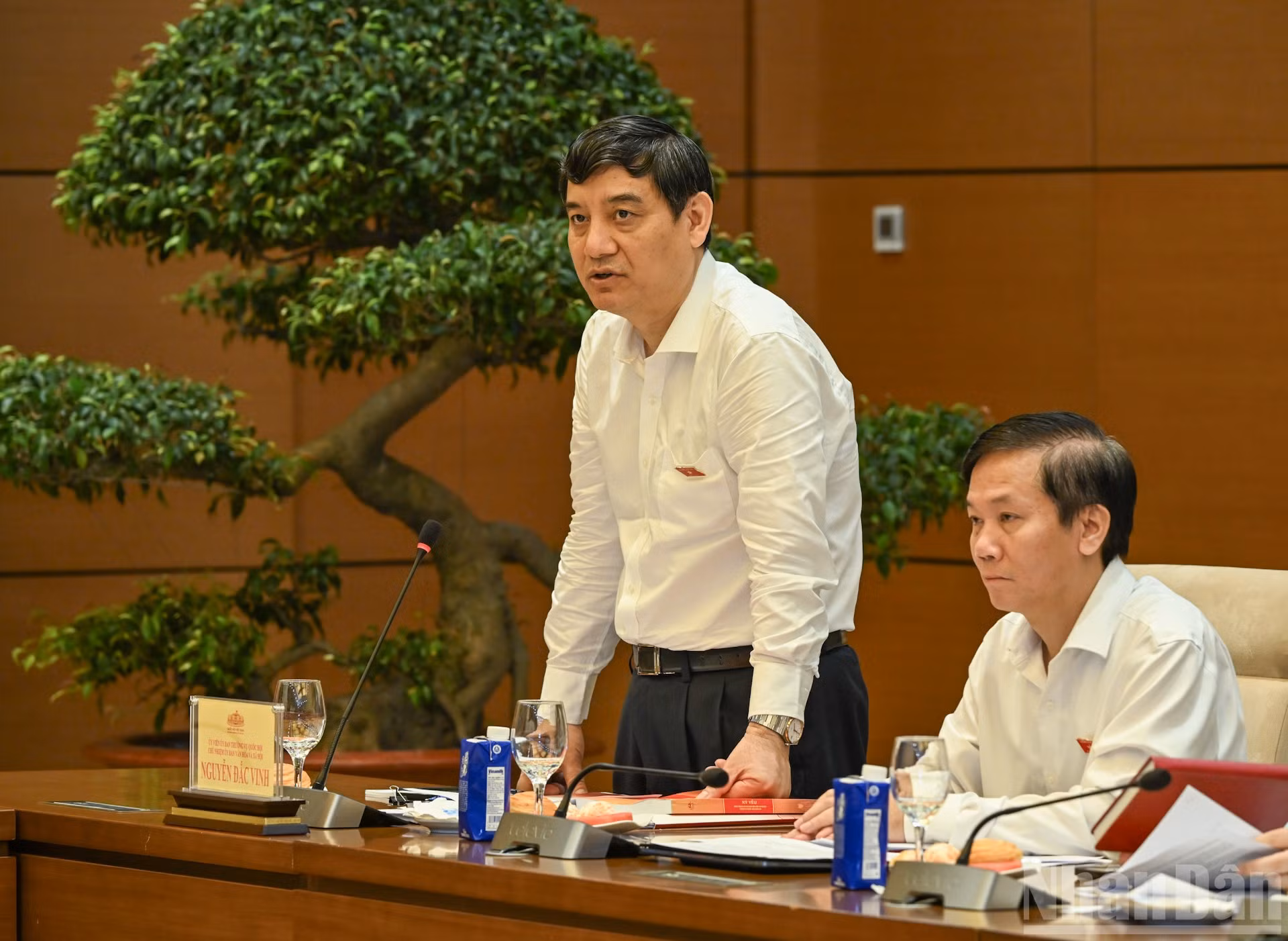 ndo_br_bnd-0936.jpg