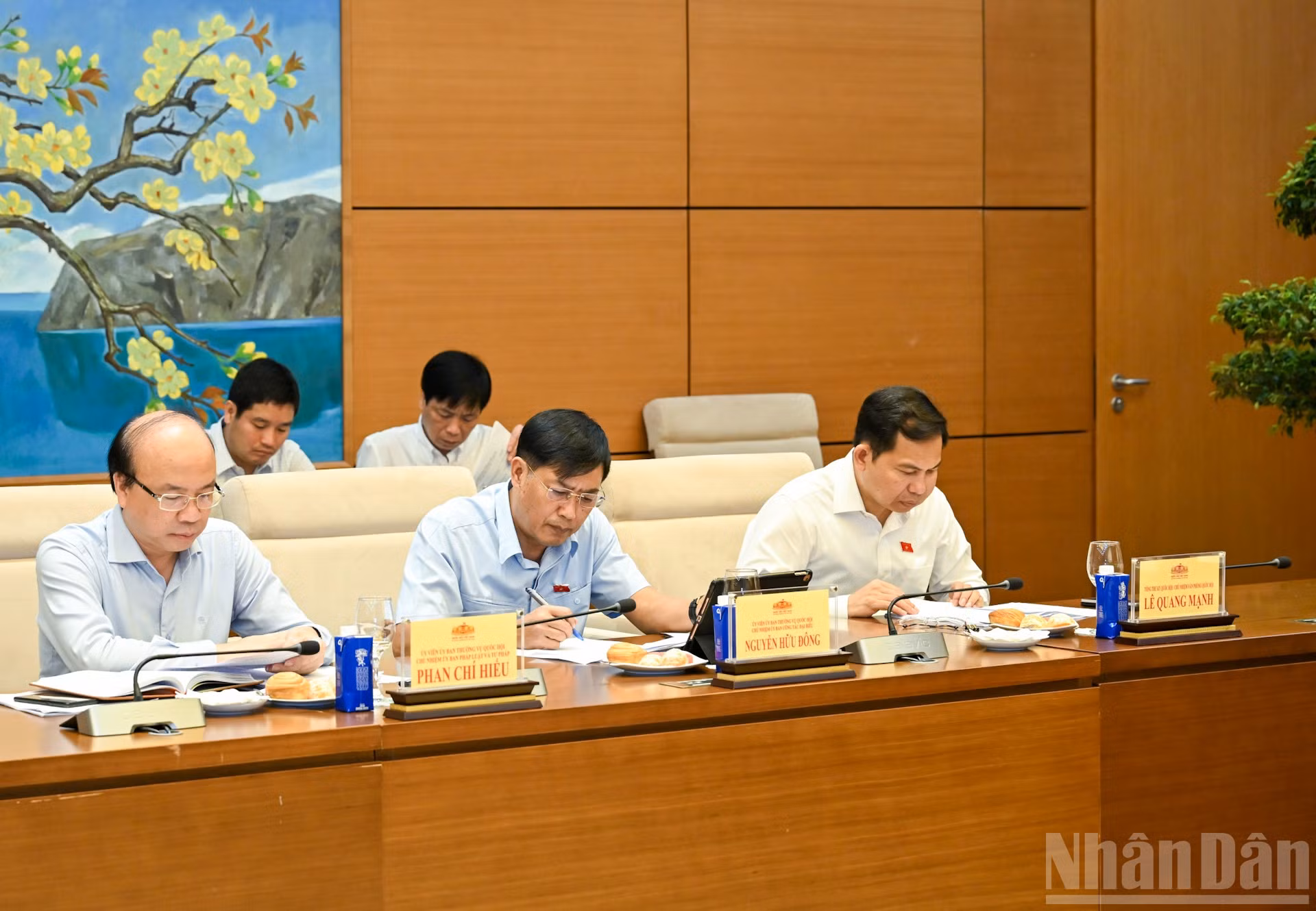 ndo_br_bnd-0998.jpg