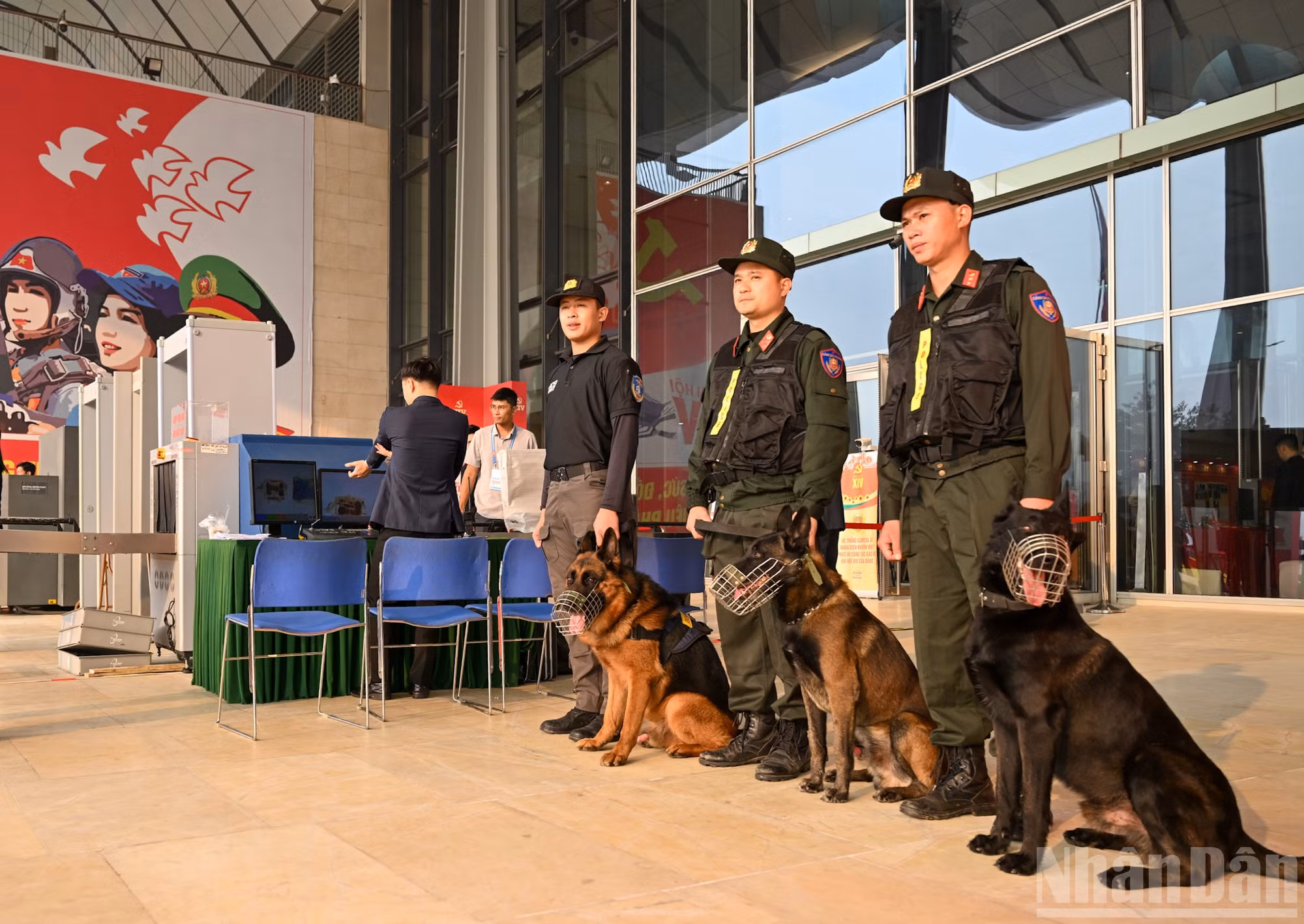 ndo_br_bnd-3897.jpg
