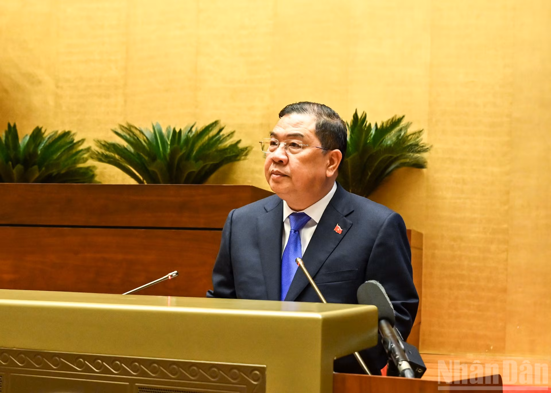 ndo_br_bnd-7044.jpg