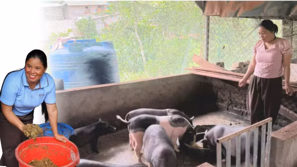 Nhờ tiếp cận mô hình phát triển kinh tế mới, đời sống của bà con dân tộc thiểu số vùng biên giới Quảng Trị đã được cải thiện.