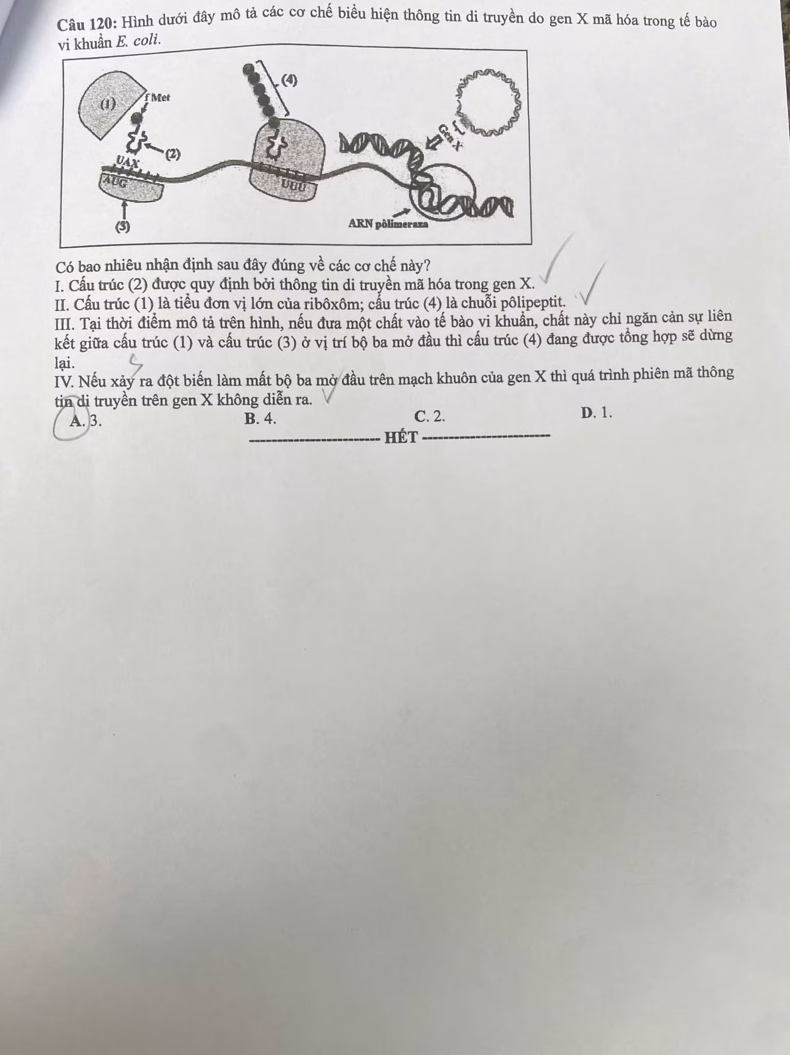 z6748654120689-8af69a5b328e83ca534eede8c7c565e3.jpg