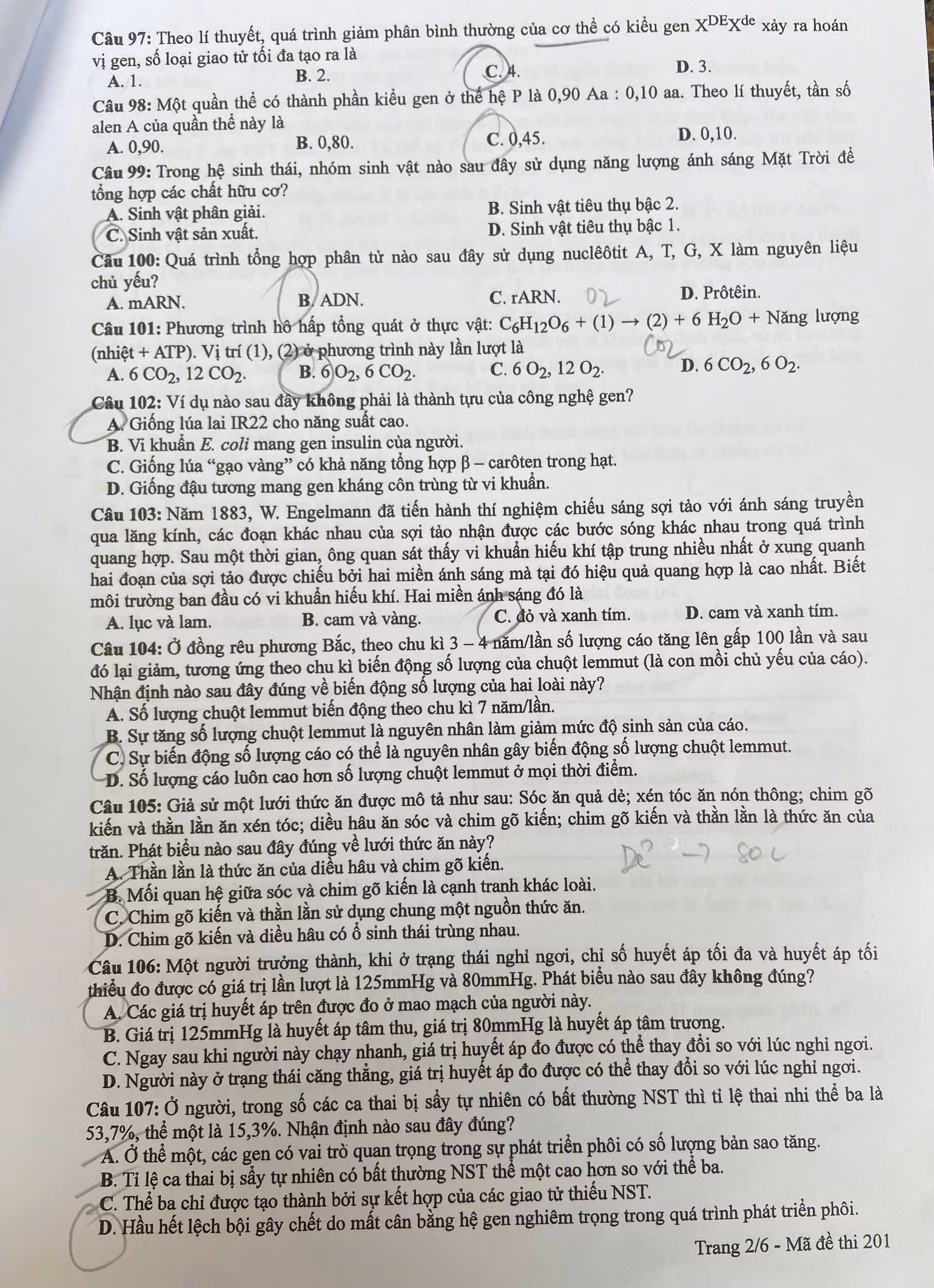 z6748654304676-ec3471f4dff9325d39f06db8326535f3.jpg
