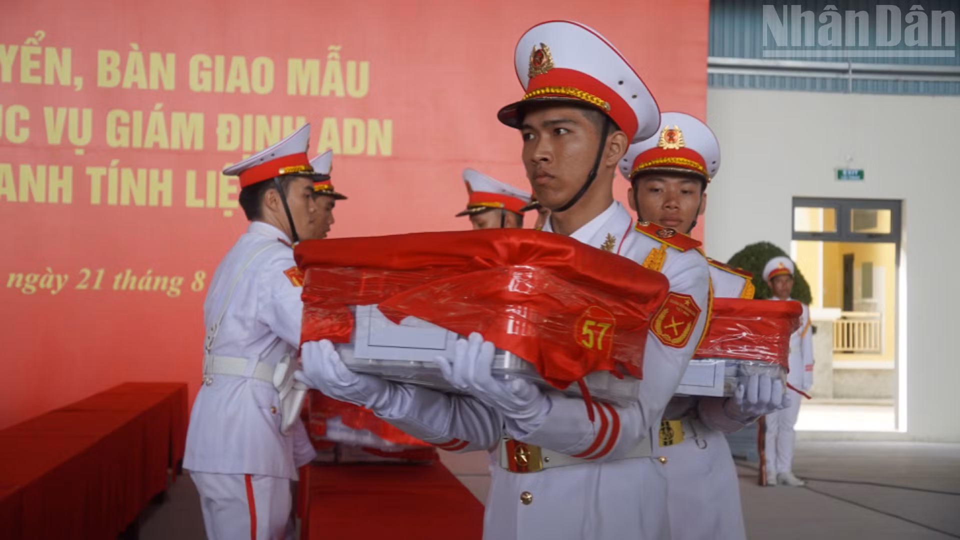 ndo_tr_dsc08566-7602.jpg