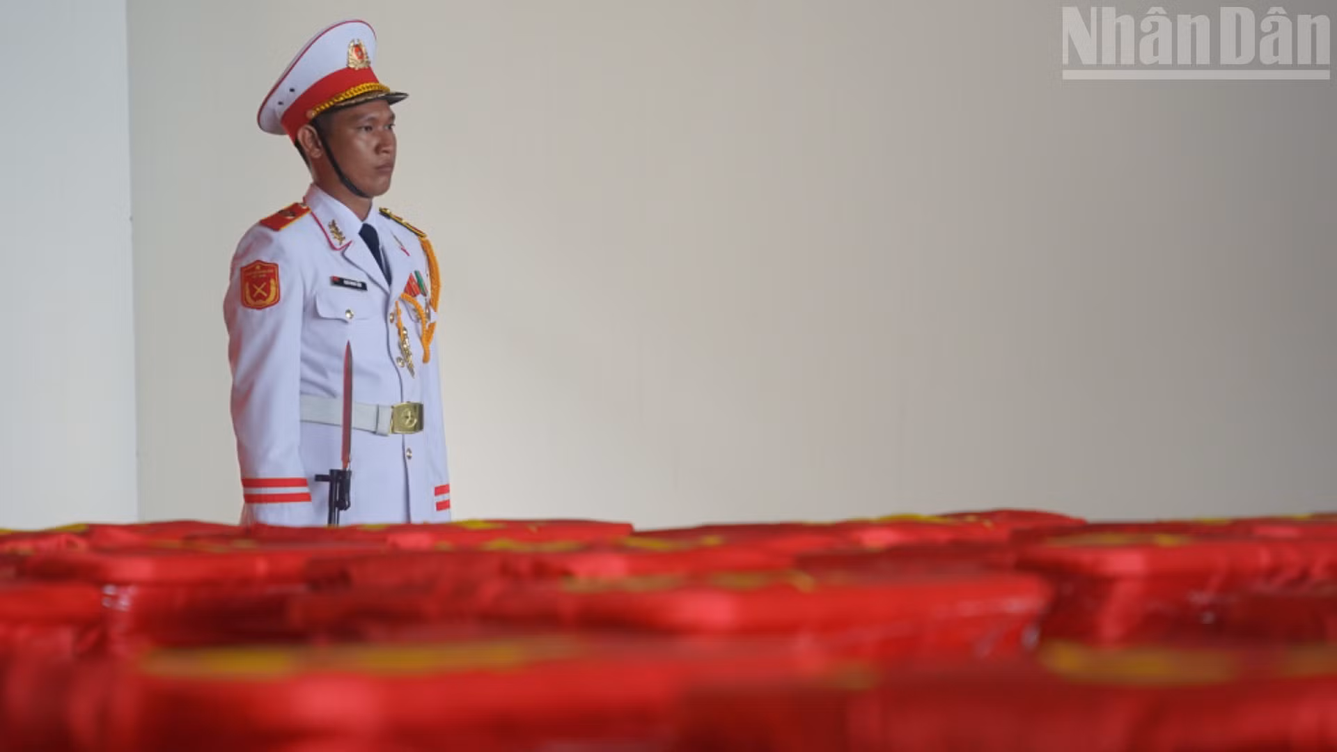 ndo_tr_dsc08507-9406.jpg