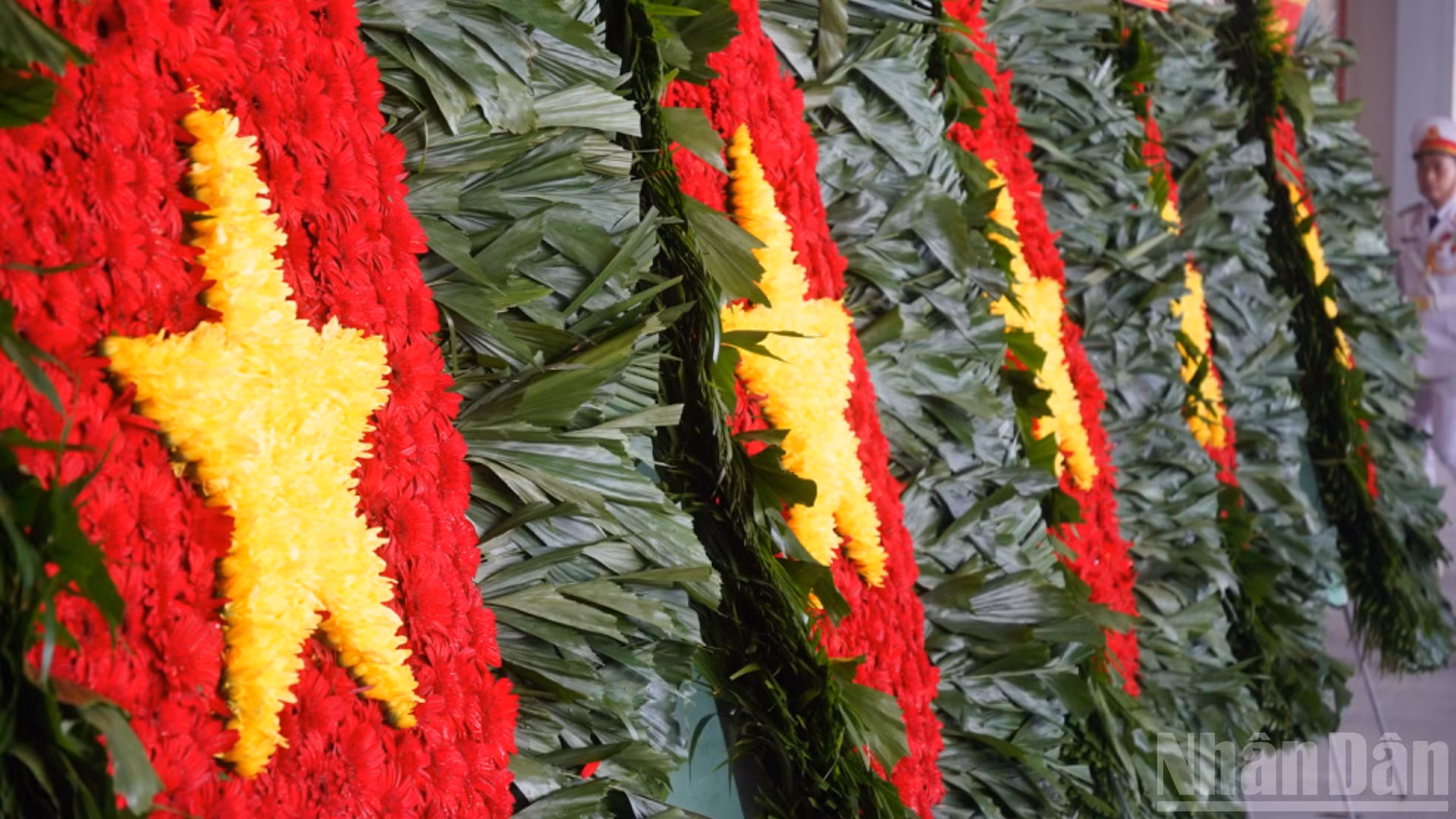 ndo_br_dsc08511-7766.jpg