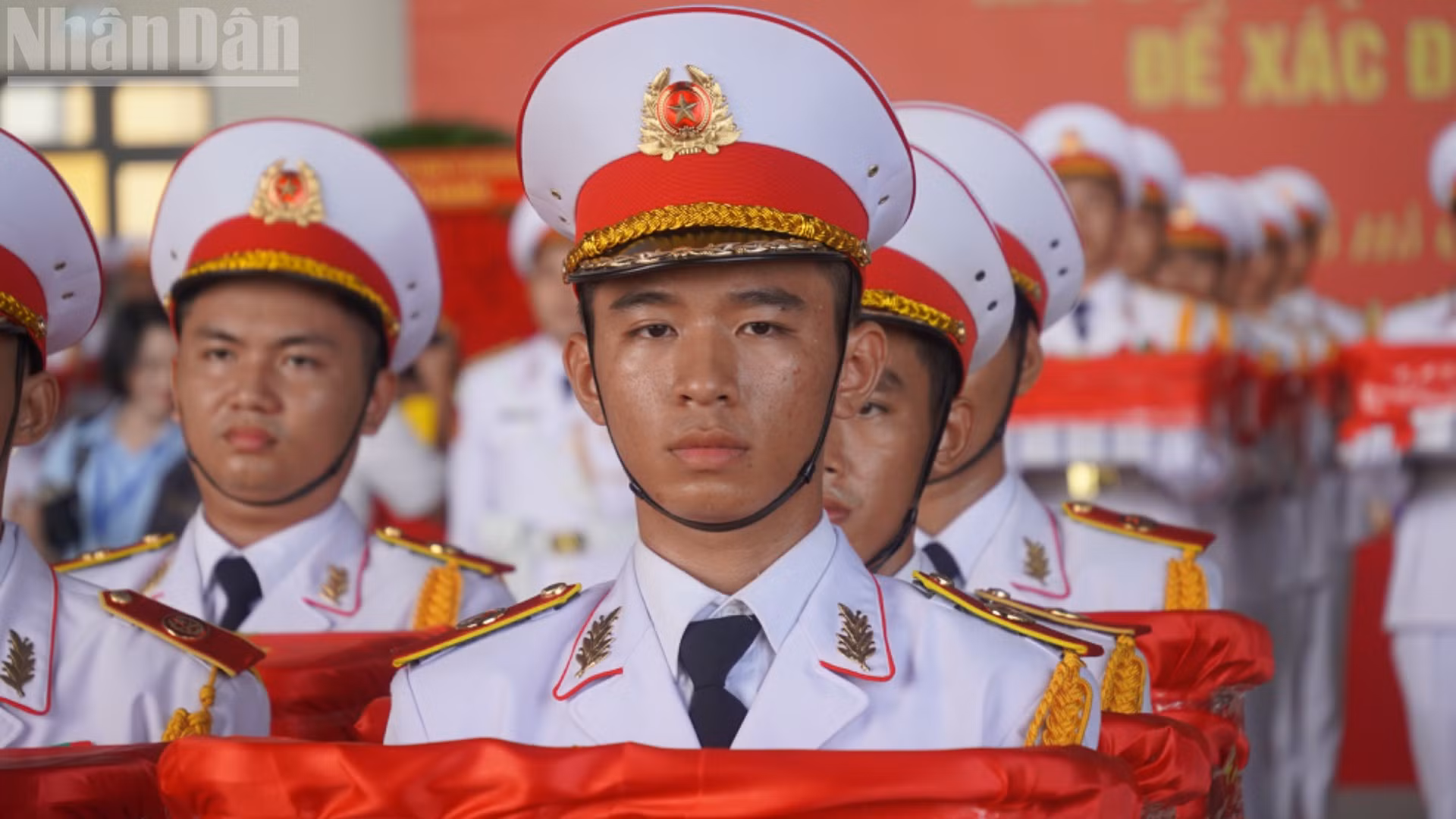 ndo_tl_dsc08572-2354.jpg