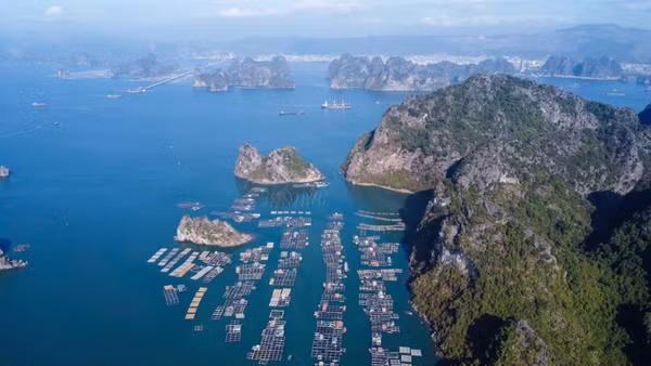 Thành phố Quảng Ninh đẩy mạnh các sản phẩm du lịch xanh, du lịch cao cấp, kinh tế đêm và liên kết các điểm đến. (Ảnh: THẾ ĐẠI)