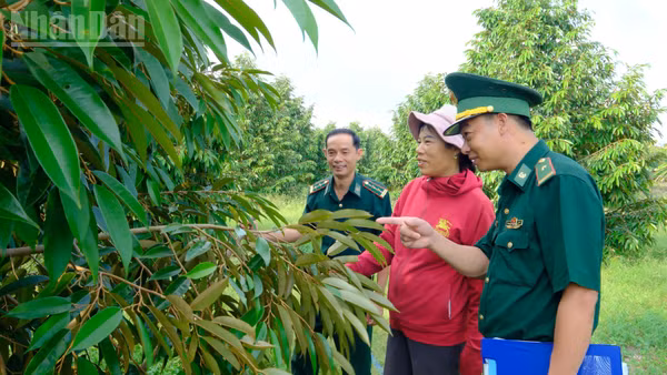 Bộ đội Biên phòng Đồng Nai giúp nhân dân xã Tân Tiến phát triển kinh tế. (Ảnh: NS)