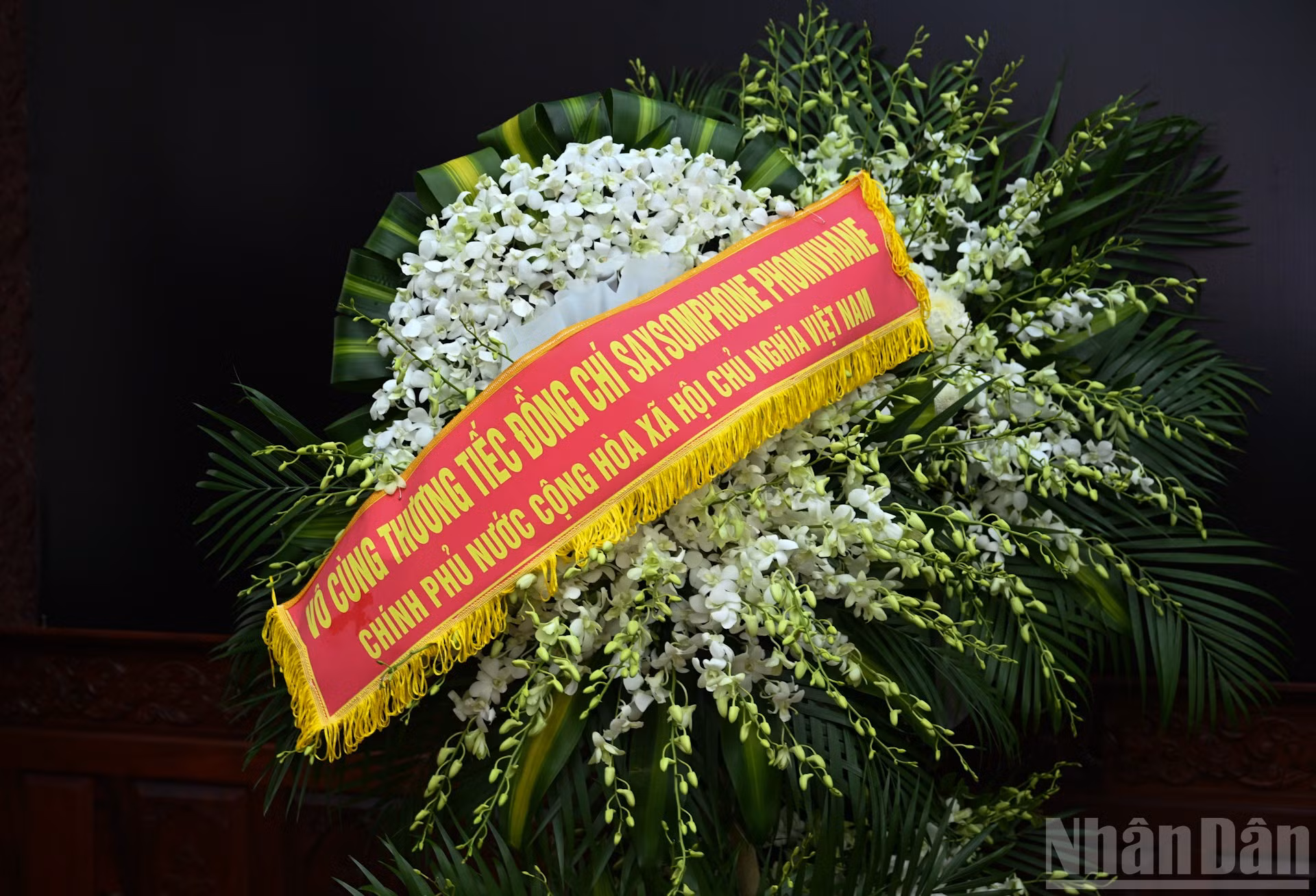 ndo_br_dsc-2903.jpg