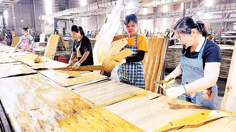 Sản xuất tại Công ty TNHH Lechenwood Việt Nam trong Khu công nghiệp Thanh Bình.