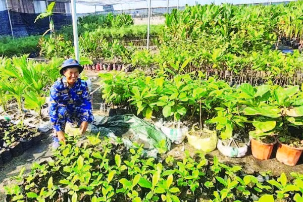 Những mầm non trên đất khát.