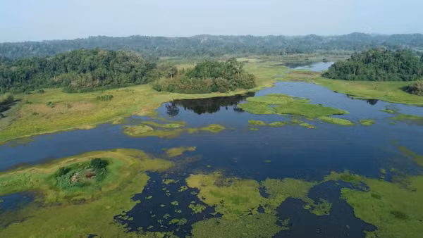 “Vietnam Wild Live” mùa 2 mở hành trình khám phá Vườn quốc gia Cát Tiên. (Ảnh: VTV cung cấp)