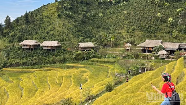 Một khu Homestay Bản Liền, tỉnh Lào Cai. (Ảnh: THANH SƠN)
