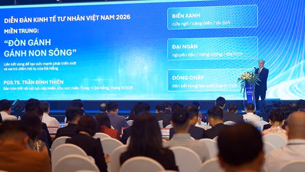 Phó Giáo sư, Tiến sĩ Trần Đình Thiện, thành viên Hội đồng tư vấn chính sách Tài chính-tiền tệ quốc gia, tham luận tại phiên làm việc. (Ảnh: Trung ương Hội Doanh nhân trẻ Việt Nam cung cấp)