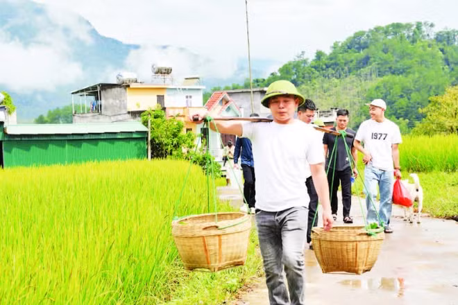 Phù rể gánh sính lễ đến nhà mẹ nhận nuôi. 