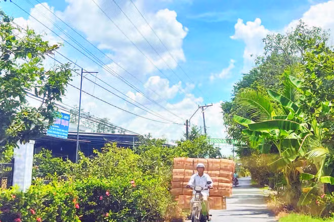 Người dân xã Hòa Long chở lọp đi giao cho khách.