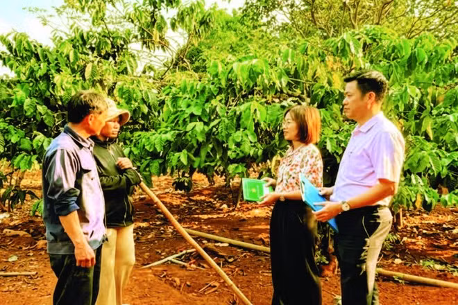 Nhờ vốn vay từ Ngân hàng Chính sách xã hội, nhiều hộ gia đình ở Ia Boòng đã từng bước vươn lên thoát nghèo.