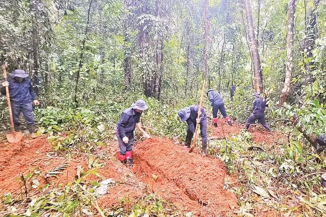Cán bộ, chiến sĩ Đội tìm kiếm hài cốt liệt sĩ thành phố Đồng Nai đào khảo sát tại Vườn quốc gia xã Bù Gia Mập. 