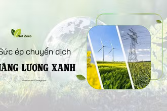 Sức ép chuyển dịch năng lượng xanh