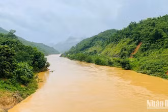 (Ảnh minh họa)