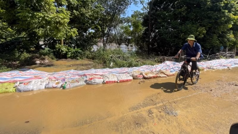 Nhiều đoạn đê thuộc địa bàn xã Đa Phúc, thành phố Hà Nội bị tràn nước trong trận lũ tháng 10/2025. 