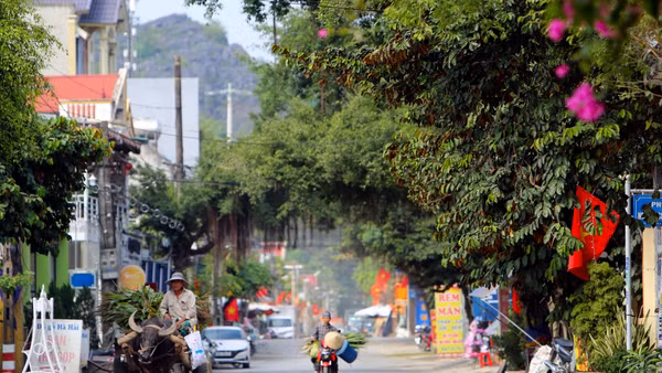 Ảnh minh họa.