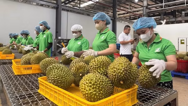 Hiện hệ thống truy xuất nguồn gốc của Việt Nam đã cập nhật khoảng 18.000 sản phẩm của 26/34 tỉnh, thành phố, với 255 vùng trồng và 149 doanh nghiệp tham gia.