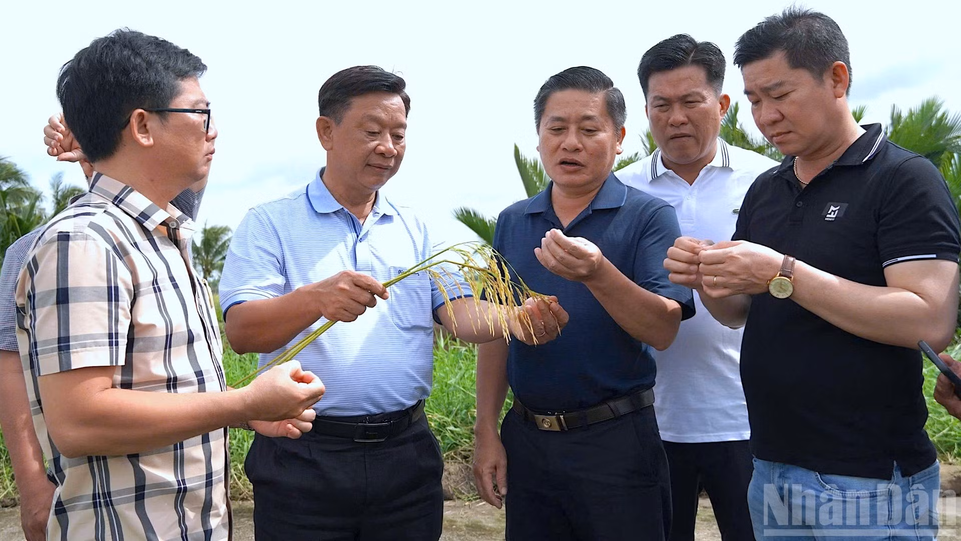 ndo_br_anh-3-4185.jpg